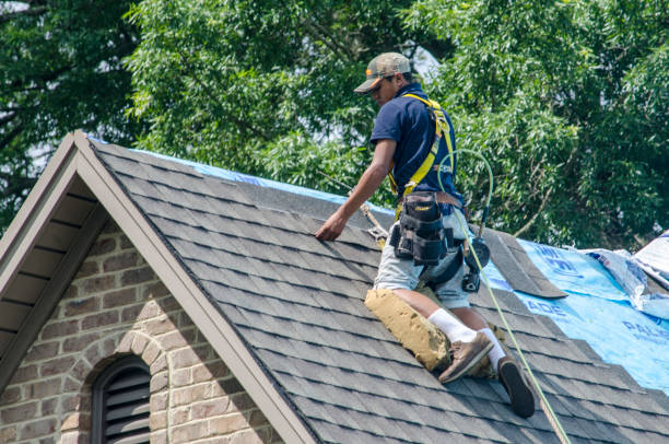 Best Roof Maintenance Services  in Huxley, IA